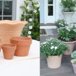 White Washed Terra Cotta Pots