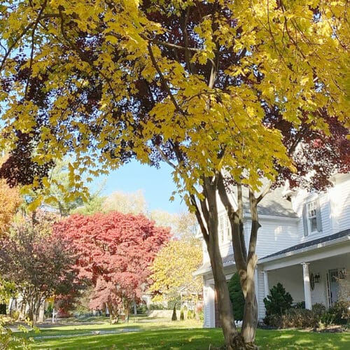 7 Ways to Winterize Home