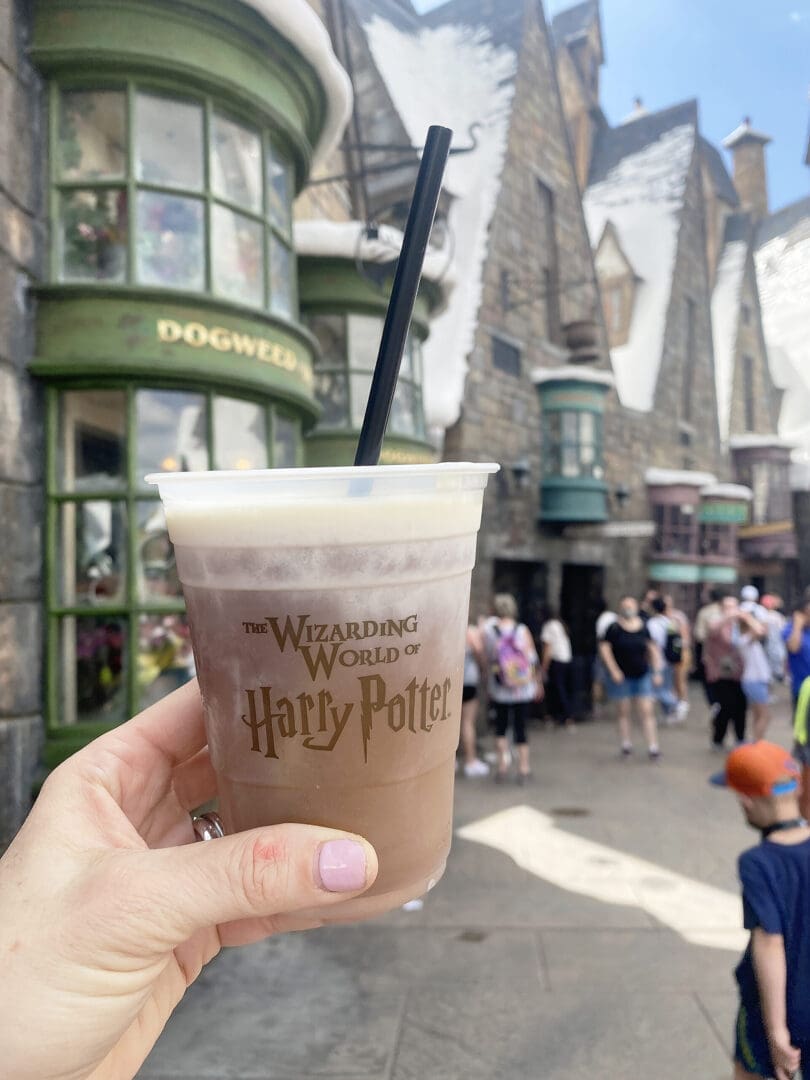 Disney and Universal with Big Kids making the best day with park hopper and fast passes or Lightening Passes || Darling Darleen Top Lifestyle CT Blogger #disneyworld #universalstudios 