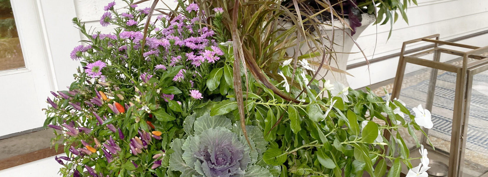 Transition Your Summer Planters to Fall