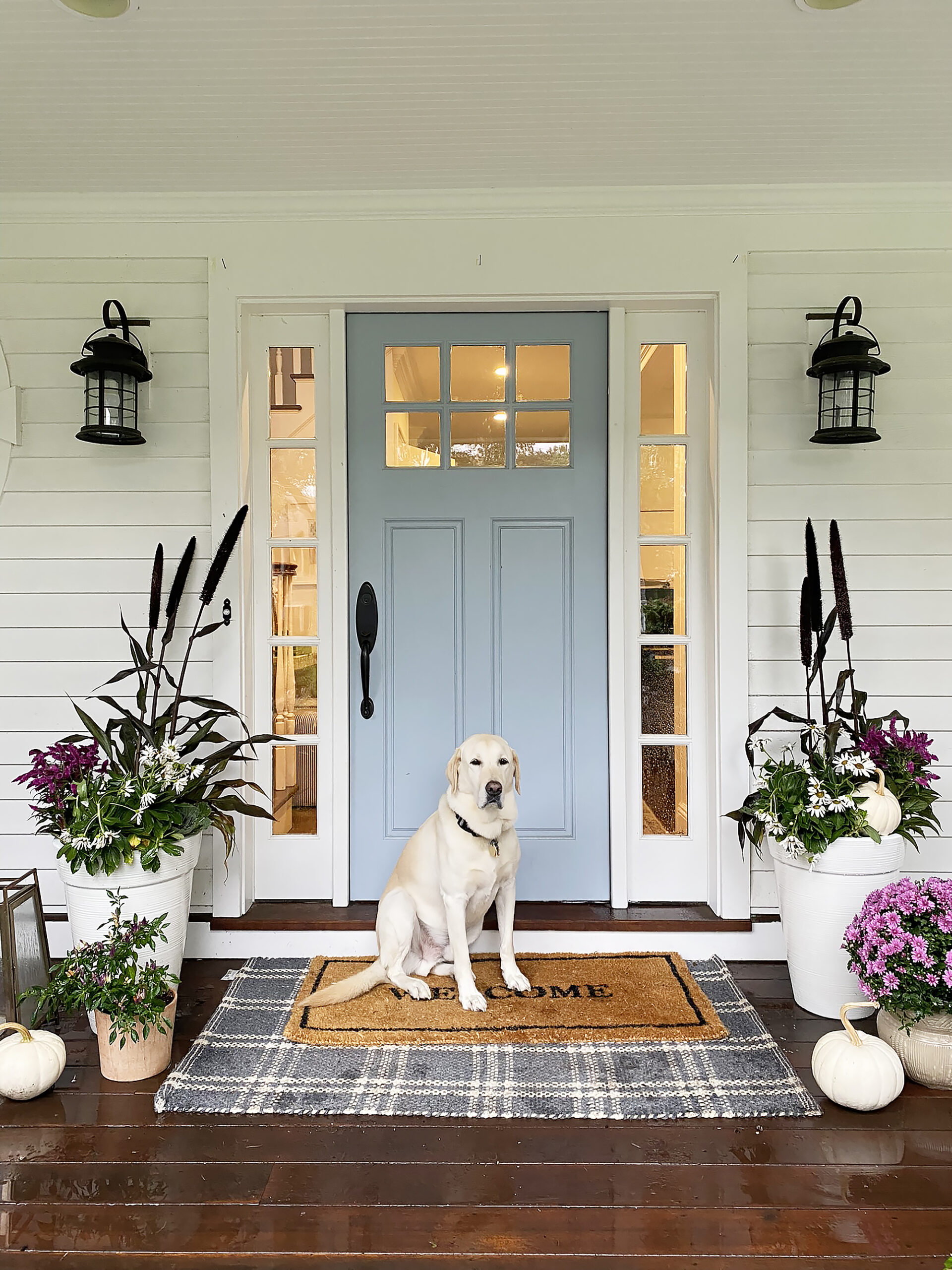 Transition your summer planters to fall by updating them with bold autumn flowers, grass and ornamental plants while still keep some of your annuals. || Darling Darleen Top Lifestyle CT Blogger